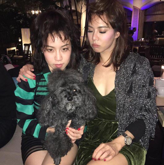 คริส หอวัง