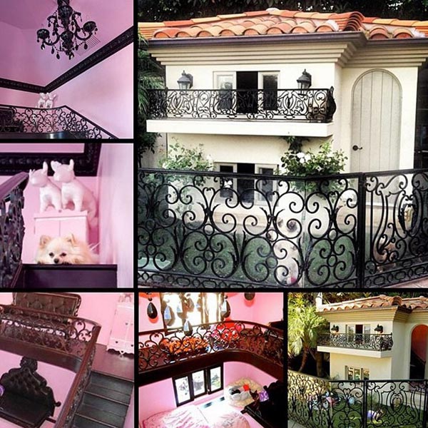 บ้านหมาปารีส ฮิลตัน