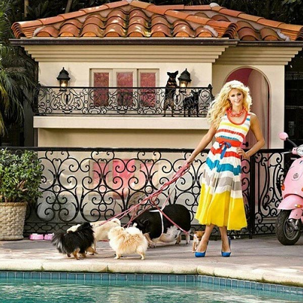 บ้านหมาปารีส ฮิลตัน