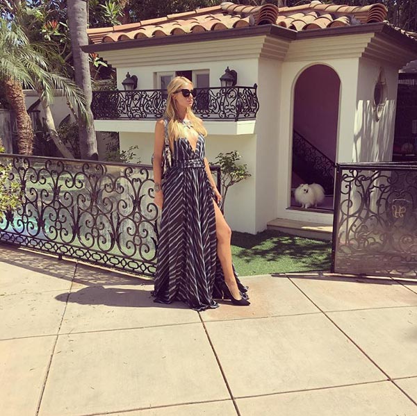 บ้านหมาปารีส ฮิลตัน