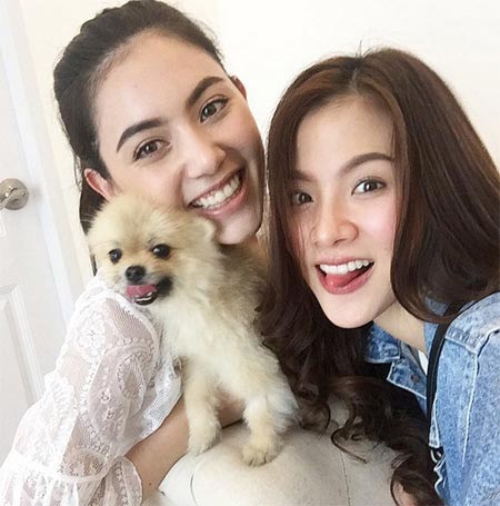 ใบเฟิร์น พิมพ์ชนก