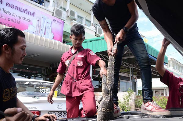 ตัวเงินตัวทอง