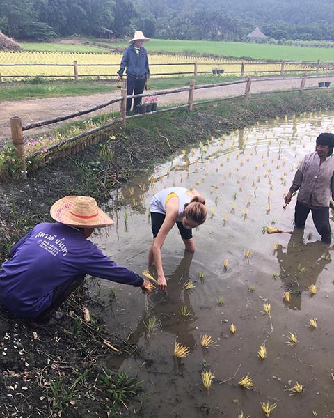 นิว นภัสสร