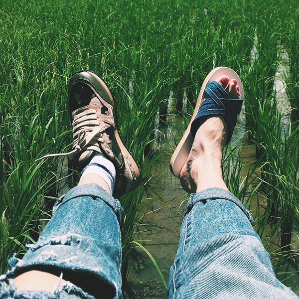 นิว นภัสสร