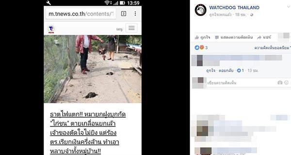 หมากัดไก่