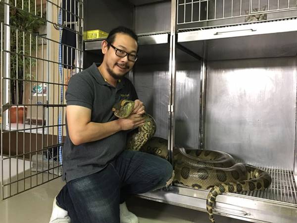 ระทึก ! สัตวแพทย์ระดมทีมผ่าตัดเนื้องอก ช่วยชีวิตอนาคอนด้า