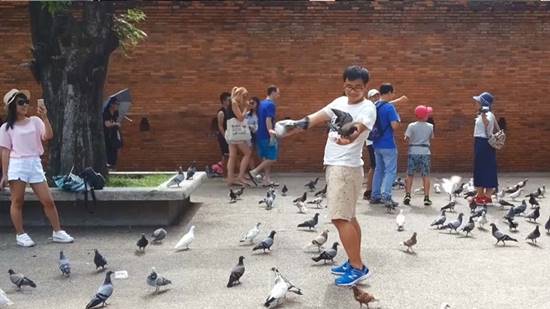 นักท่องเที่ยวจีน เที่ยวไทยน้อยลง เหตุเจอกระแสโซเชียลไทยถล่ม