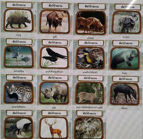 นักอนุรักษ์จวก แท็บเล็ตจากกระทรวงศึกษาธิการ ลงภาพสัตว์ป่าสงวนมั่ว