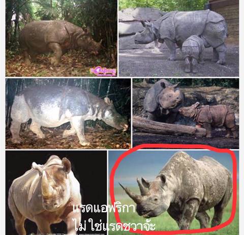 นักอนุรักษ์จวก แท็บเล็ตจากกระทรวงศึกษาธิการ ลงภาพสัตว์ป่าสงวนมั่ว