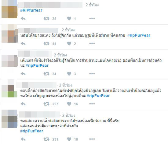 เฟียร์ ปุณณดา เสียชีวิตจากอุบัติเหตุรถชน ชาวเน็ตร่วมโพสต์ #ripFurFear