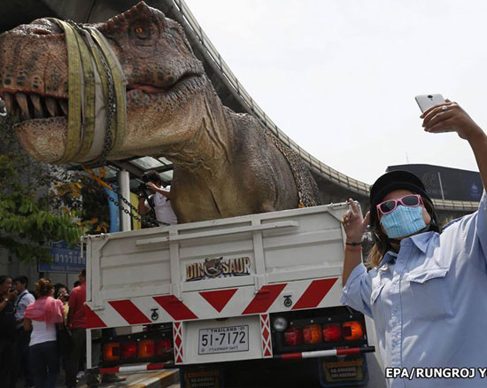 ฮือฮา เตรียมเปิดสถานที่ชมไดโนเสาร์ย่านสุขุมวิท เหมือนจริงจนเด็กร้องไห้