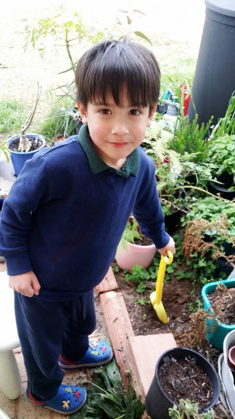 น้องวิลเลี่ยม หนุ่มน้อยลูกครึ่ง หน้าเหมือน ณเดชน์-มาริโอ้ เป๊ะ