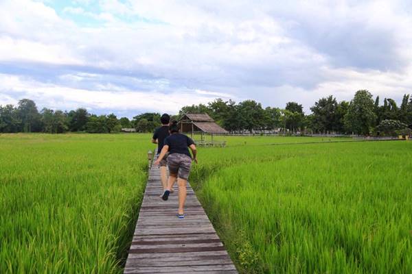 ชมชีวิต ตั๊กแตน ชลดา - เพชร กับความรักในท้องนา มีแค่พี่...น้องก็มีความสุข