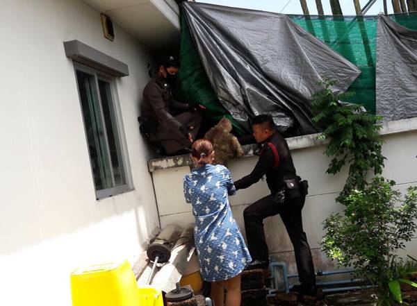 ช่วย 3 ไซบีเรียถูกขังในบ้านส่งสัตวแพทย์แล้ว-เจ้าของยันไม่ได้ทิ้ง