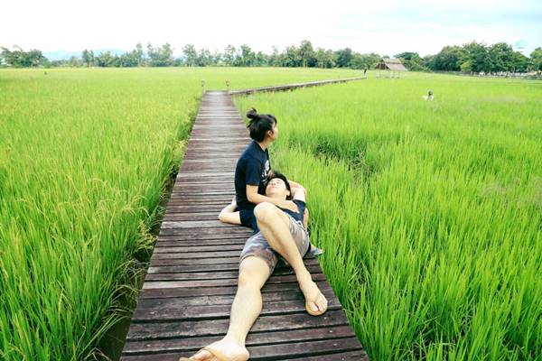 ชมชีวิต ตั๊กแตน ชลดา - เพชร กับความรักในท้องนา มีแค่พี่...น้องก็มีความสุข