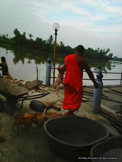 สุดทน ! ร้องจับเจ้าอาวาสจับลูกหมาเหวี่ยงลงน้ำ หากรอดมาได้ยังถูกโยนซ้ำ