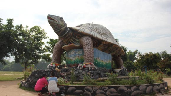 พญาเต่างอย 1 ธ.ค.59 