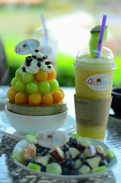 ฟาร์มเมลอน