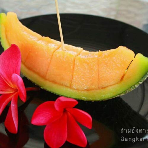 ฟาร์มเมลอน