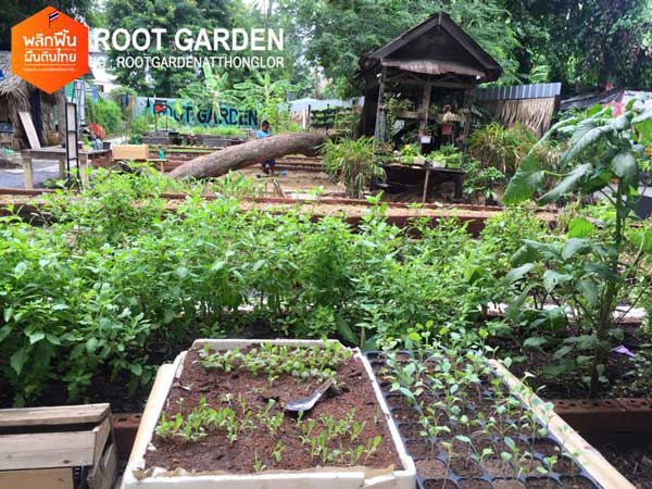 Root Garden