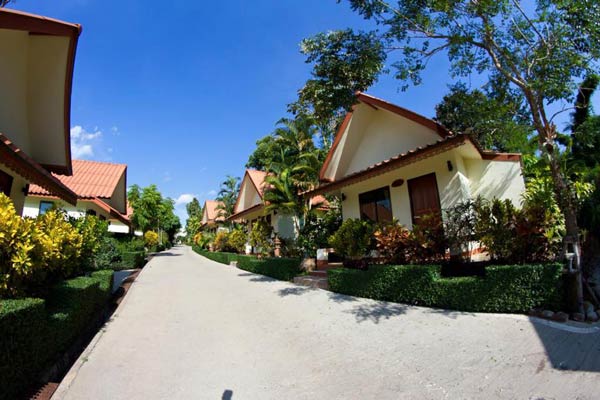 ที่พักเชียงดาว