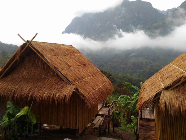 ที่พักเชียงดาว