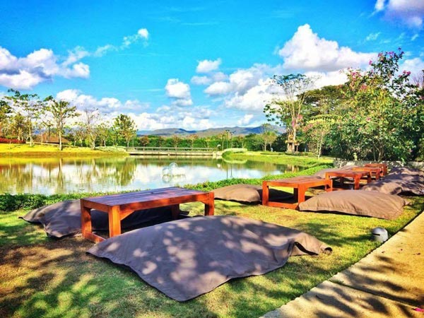 ร้านอาหารและกาแฟเชียงใหม่