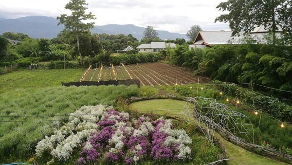 ที่พักเชียงใหม่