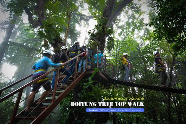 Tree Top Walk