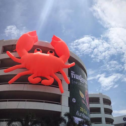 กินปู ดูทะเล