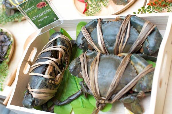 กินปู ดูทะเล