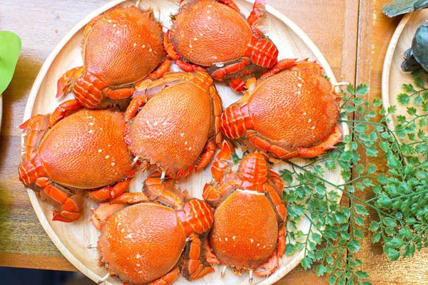 กินปู ดูทะเล