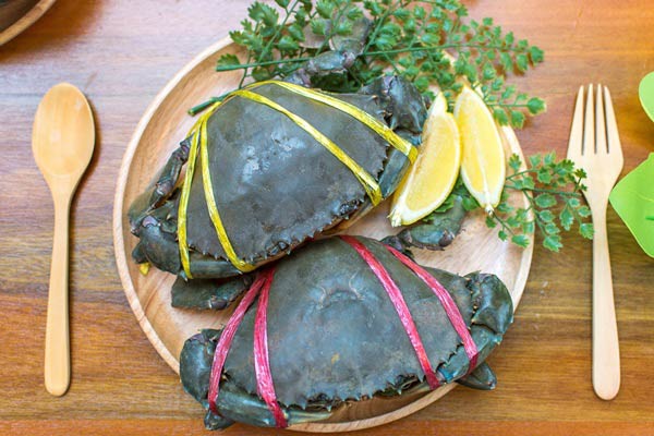 กินปู ดูทะเล