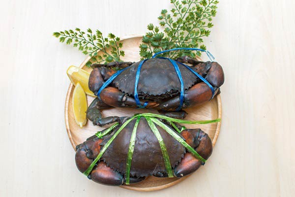 กินปู ดูทะเล