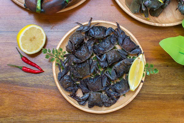 กินปู ดูทะเล