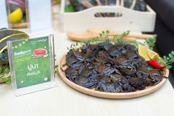 กินปู ดูทะเล