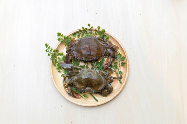 กินปู ดูทะเล