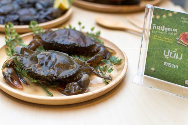 กินปู ดูทะเล