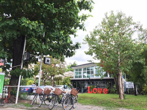 ร้านอาหารเชียงใหม่