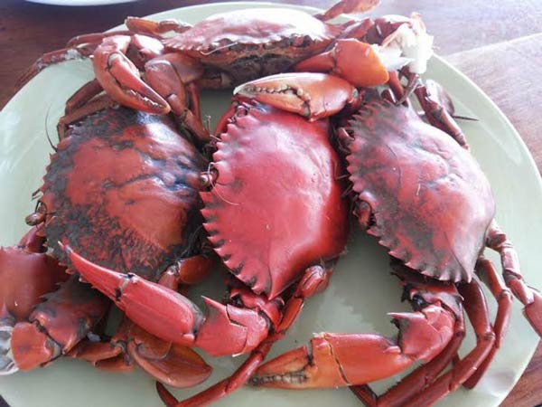 ร้านอาหารตราด