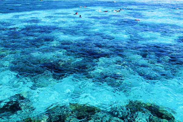 Great Barrier Reef
