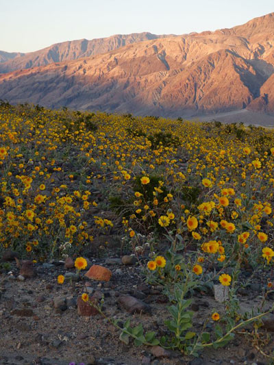 Death Valley