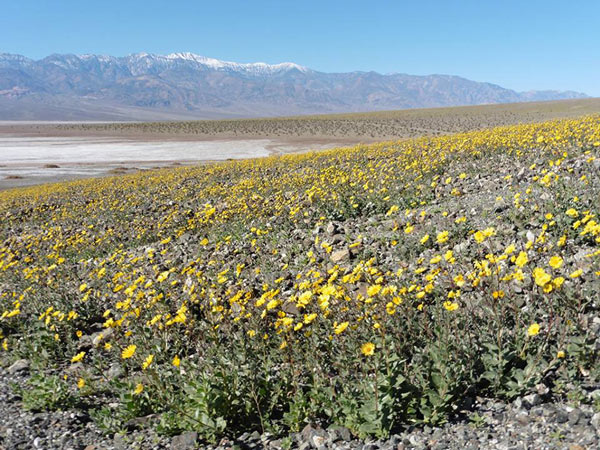 Death Valley