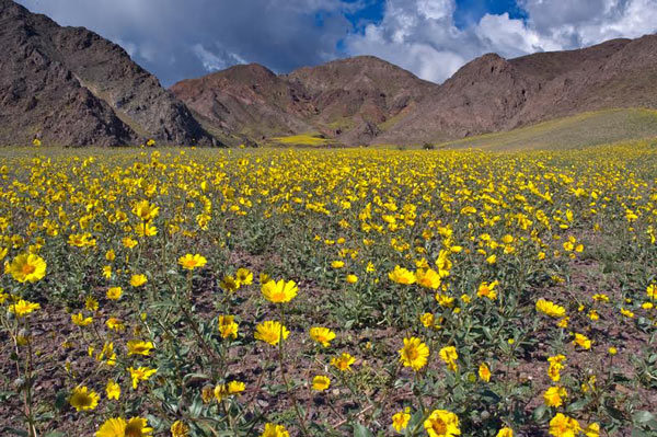 Death Valley