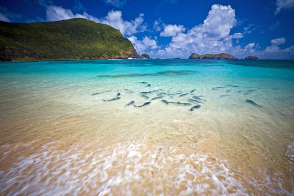 Lord Howe Island
