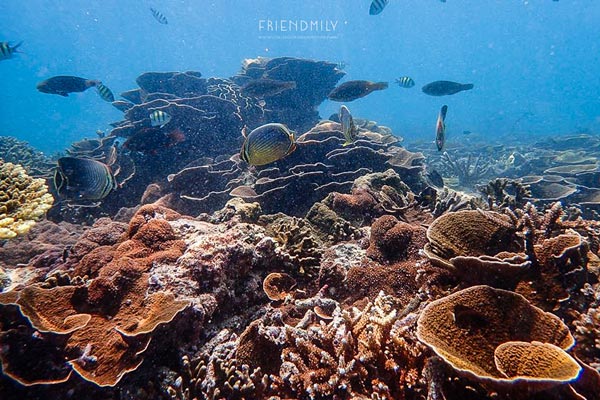 เกาะลอร์ด เฮฟเว่น