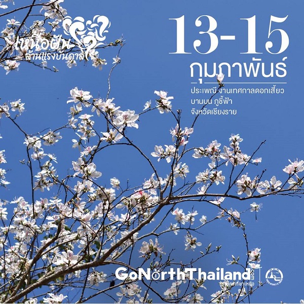 เทศกาลดอกเสี้ยวบาน