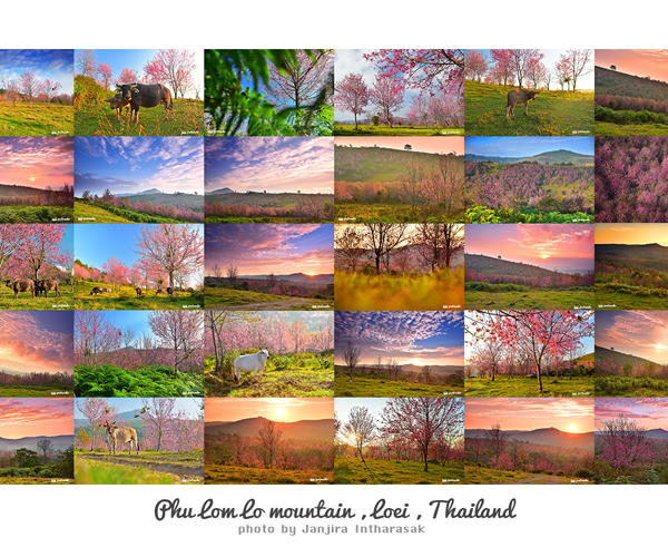 ภูลมโล
