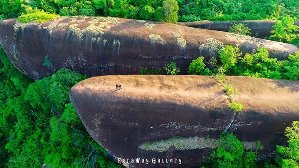 หินสามวาฬ ภูสิงห์ บึงกาฬ