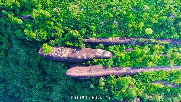 หินสามวาฬ ภูสิงห์ บึงกาฬ